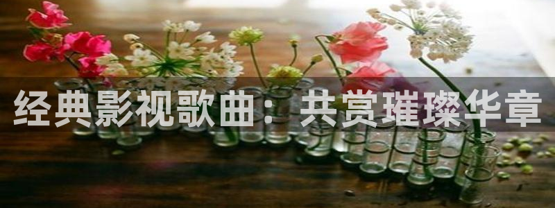 飘雪影院在线观看免费播放