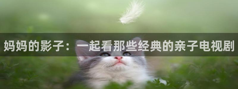 飘雪影院在线观看免费手机版