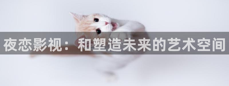 飘雪影视在线观看免费