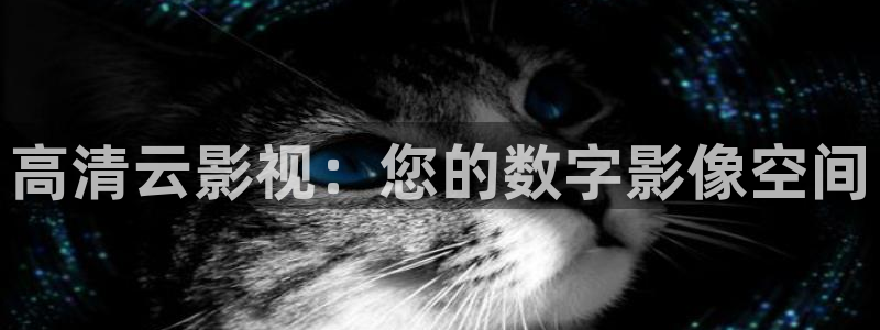 飘雪电影网免费看