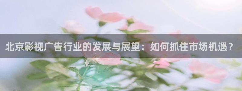 飘雪飘零电影在线看