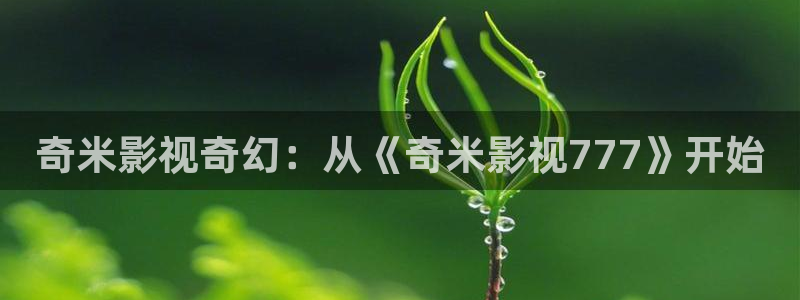 飘雪电影在线观看免费高清