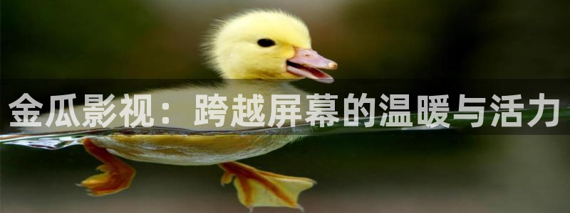 飘雪影院在线观看免费高清视频