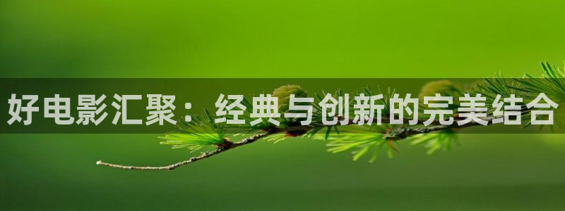 飘雪影院免费完整版